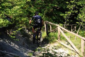Rally di Romagna 2022 - Parte 4