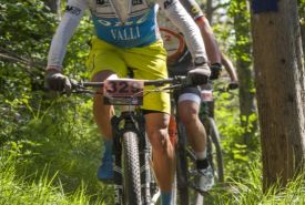 Rally di Romagna 2021