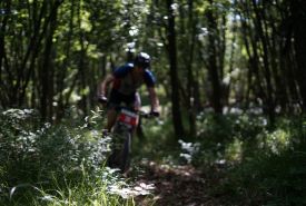 Rally di Romagna 2026